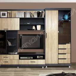 АКЦИЯ!!!! НА Гостиная «Эдвард - 5 вариант - 1» шкаф-купе,два цвета!!!!