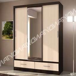 АКЦИЯ НА  Шкаф-купе "ДИАЛ-009"!!!!!