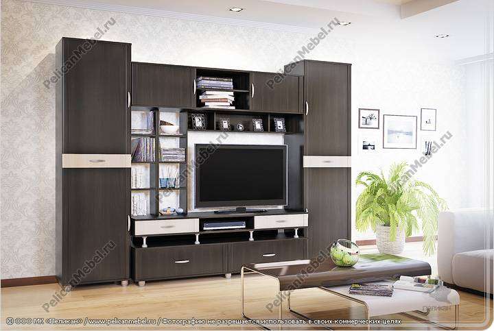 Гостиная «Премьера» комплектация 006 (Пеликан) в Нижнем Новгороде фото 1