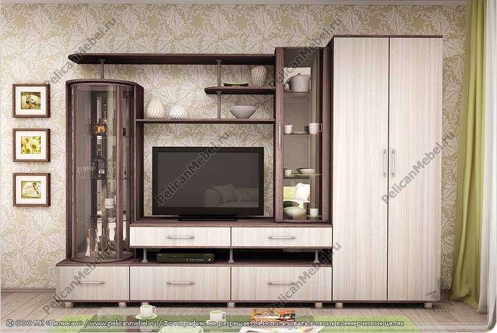 Гостиная «Техно» (Пеликан) в Нижнем Новгороде фото 2