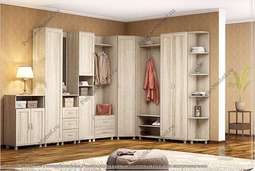 Прихожая «Визит» комплектация 008 (Пеликан)