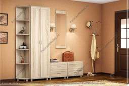 Прихожая «Визит» комплектация 009 (Пеликан)