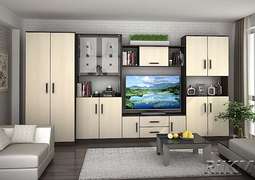 Гостиная «ВЕГА-4»