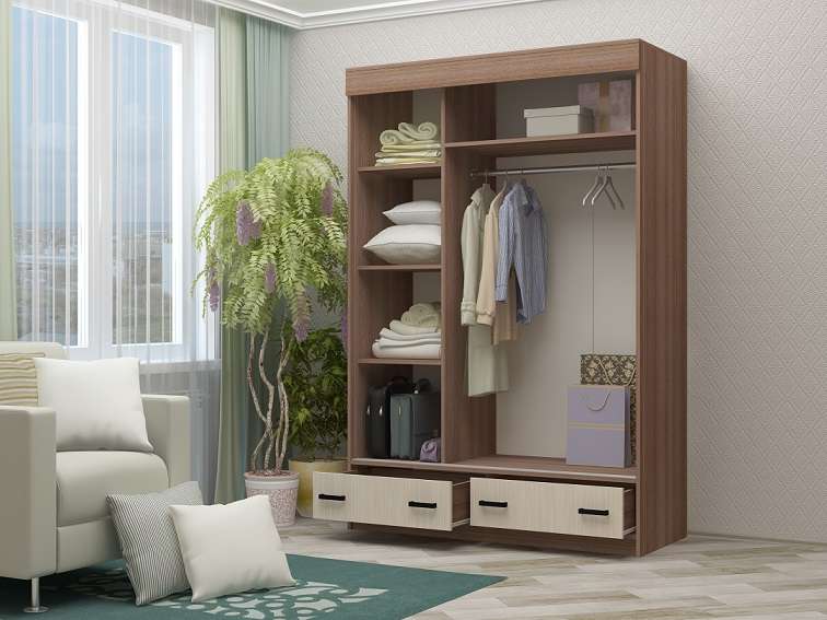 Шкаф-купе «АЛЬЯНС-5» Регион 058 в Нижнем Новгороде фото 2