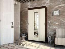 Шкаф-купе «ЭКО» (Эра)