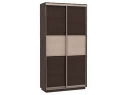 Шкаф-купе «МИНИ» (Е-1)