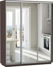 Шкаф-купе «Экспенс Трио» Три размера Две высоты (Е-1)