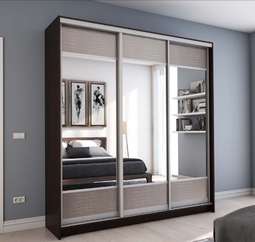 Шкаф-купе «Премиум» (Террикон)