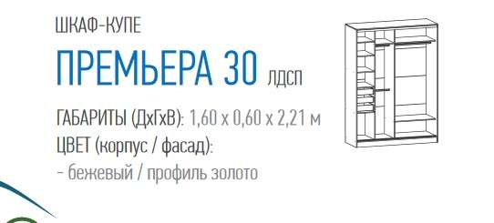 Шкаф-купе «Премьера-30» (Террикон) в Нижнем Новгороде фото 2