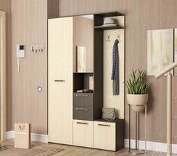 Прихожая «ВИЗИТ-2» (Риикм)