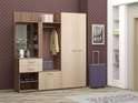 Прихожая «ВИЗИТ-7» Три цветовых решения (Рег.058) в Нижнем Новгороде фото 2