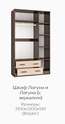 Шкаф комбинированный «Лагуна» с зеркалом и без (Тэкс) в Нижнем Новгороде фото 3