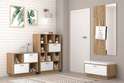 Прихожая модульная «ЭГО» Дуб Крафт Золотой/ Белый глянец в Нижнем Новгороде фото 1