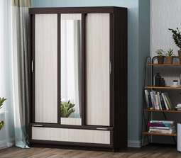 Шкаф-купе №1 (Регион 058)