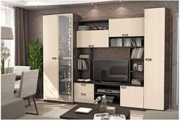 Гостиная «Аллегро вариант-6» (2,7м) Два цвета