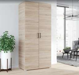 Шкаф 2-х ств. «VICTOR» (Горизонт)