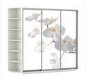 Шкаф-купе «Фото Трио» Три размера Две высоты Фотопечать (Е-1) в Нижнем Новгороде фото 11