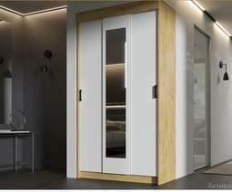 Шкаф-купе «ЭКО» Дуб Вотан/Белый (Эра)