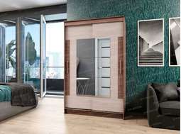 Шкаф-купе «ЭЛЕГАНТ-2» (Эра)