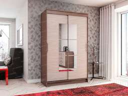 Шкаф-купе «Элегант-1» Шимо темный/Шимо светлый (ЭРА)