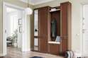 Прихожая модульная «Ливорно» комплектация 2 (Домани) в Нижнем Новгороде фото 4