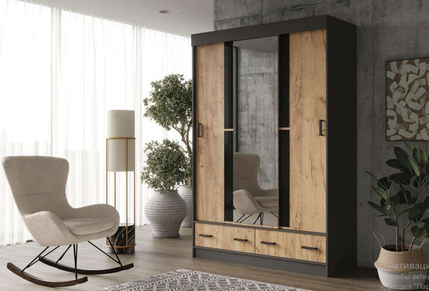 Шкаф-купе «АЛЬЯНС-5» Регион 058 в Нижнем Новгороде фото 3