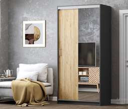 Шкаф-купе «АЛЬЯНС» 1,0м (Регион 058)